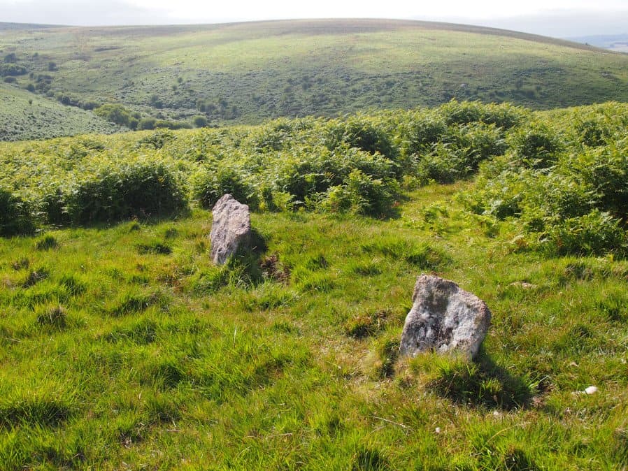 Holne Ridge Stone Row