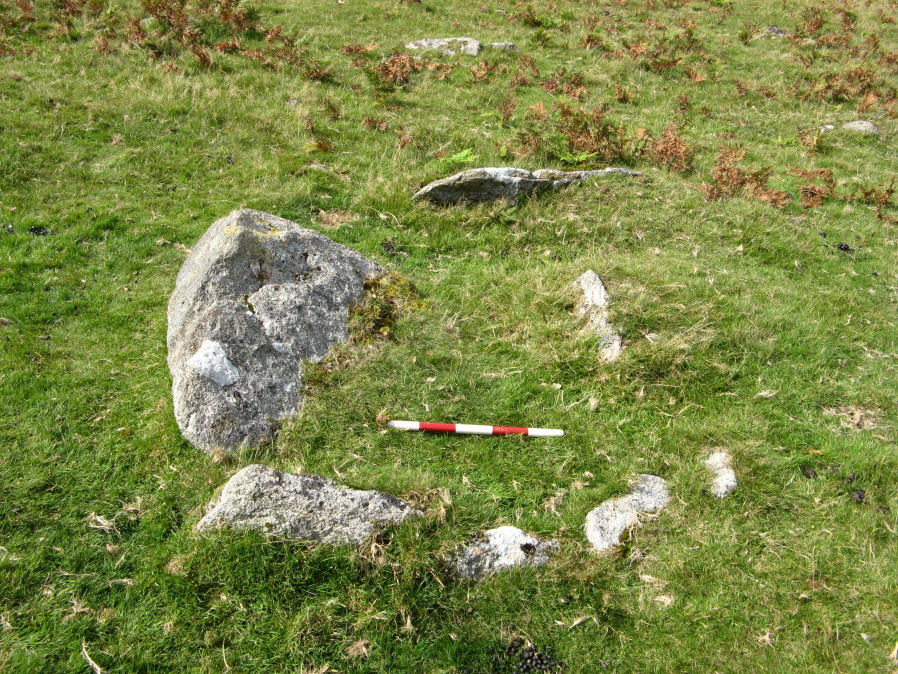 Drizzlecombe Row 4 Kerbed Reported Cairn