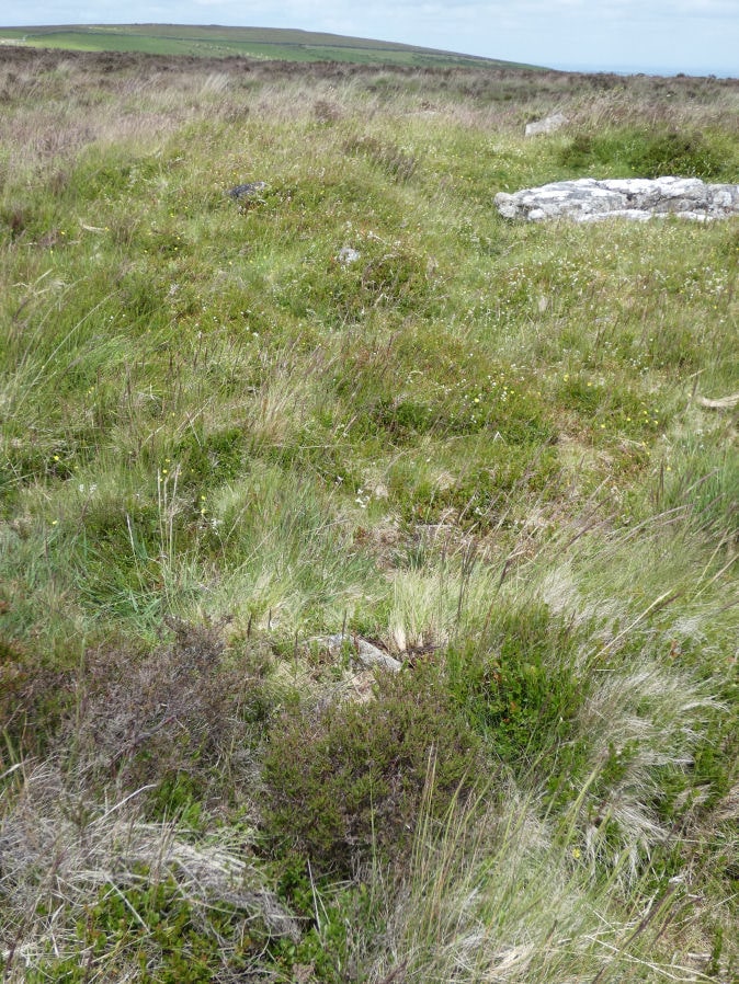 Grimslake Cist Reported Stone Row