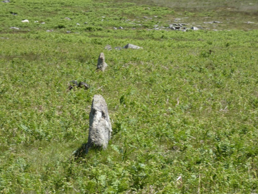Little Links Tor Stone Row