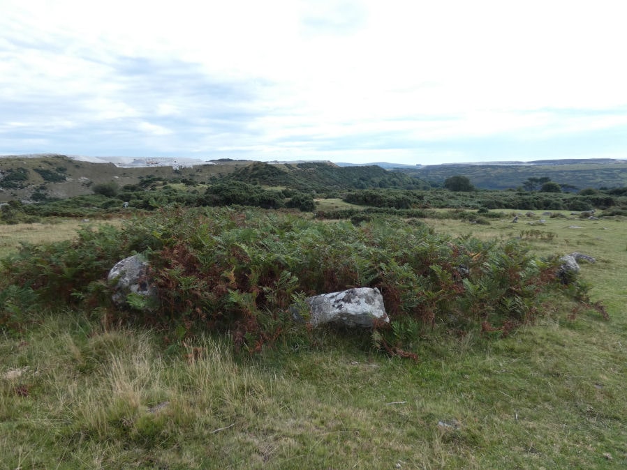 Collard Tor Encircled Cairn
