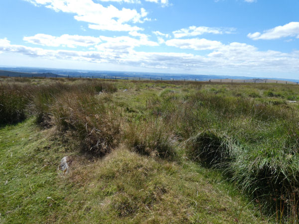 Mis Tor Farm Embanked Cairn Circle