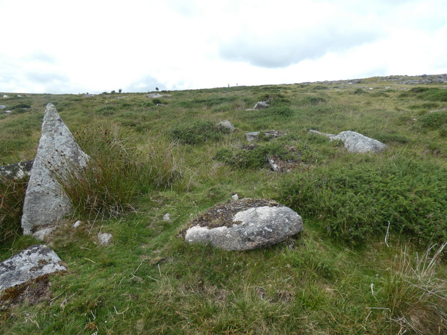 Stennen Hill 8 Reported Cairn