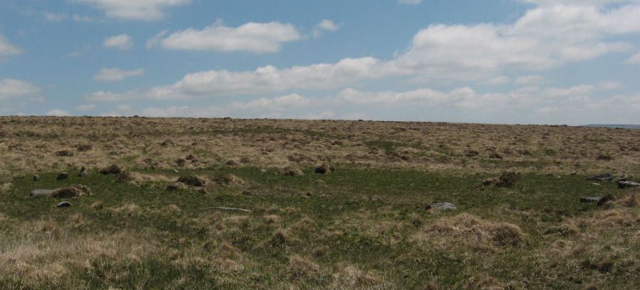 Throwleigh Common and Buttern Hill