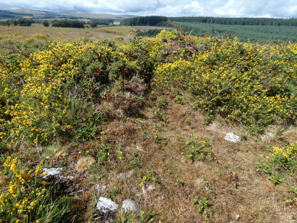 Grendon Farm Cairn
