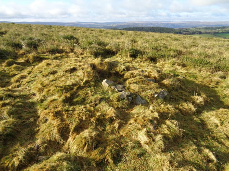 Mardon Down 6 Clearance Cairn