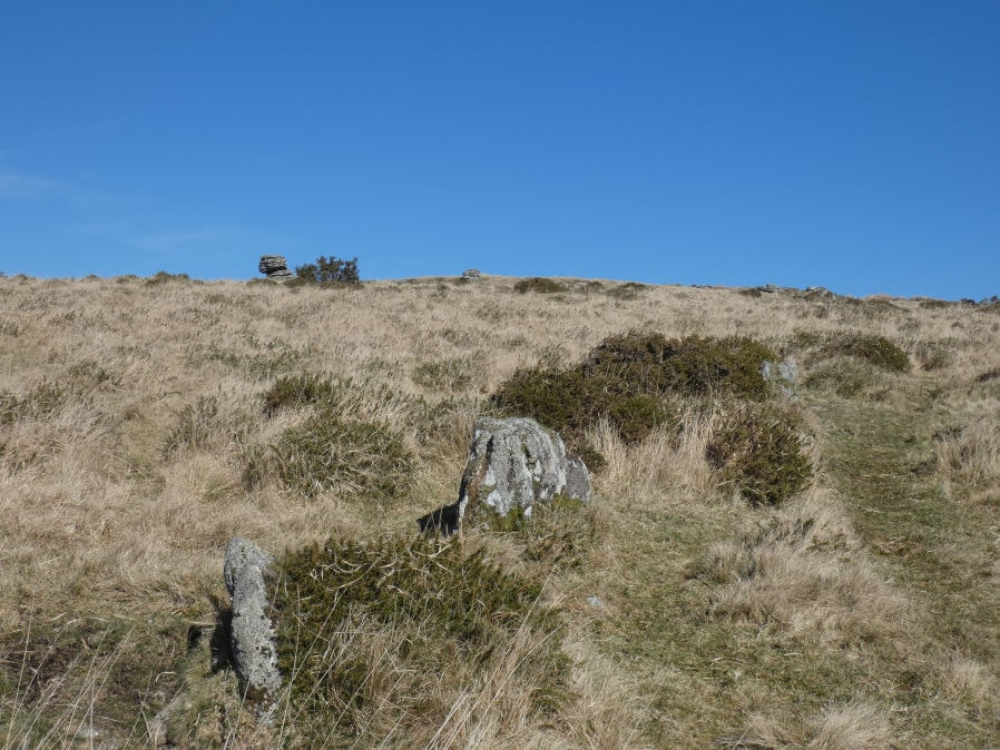 Thornworthy Reported Stone Row