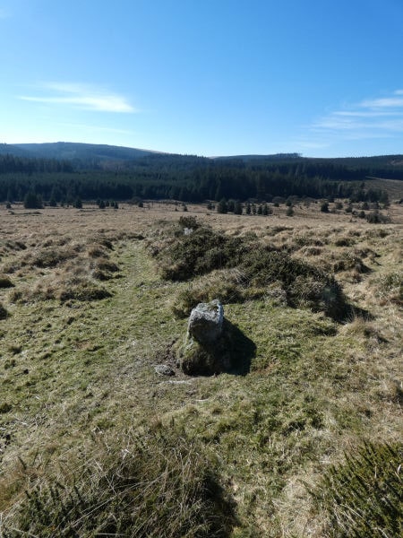Thornworthy Reported Stone Row