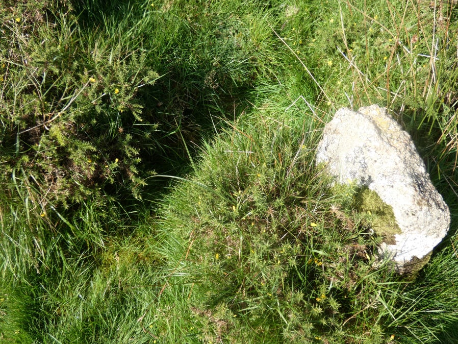 Merrivale Newtake Cist