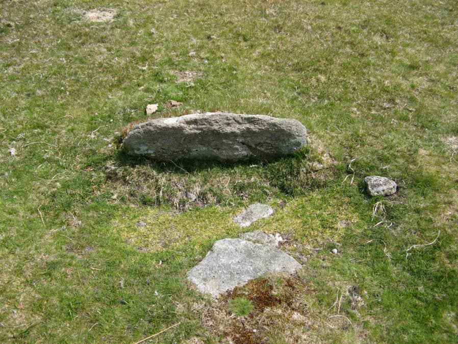 Drizzlecombe Settlement Reported Cist