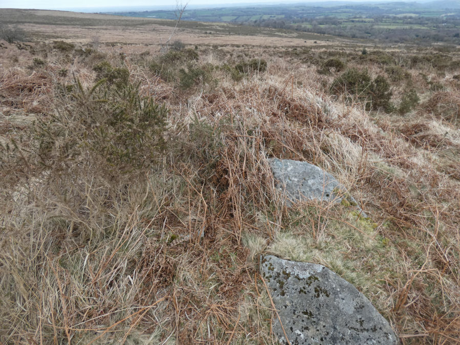 Throwleigh Common 6 Platform Cairn Circle and Cist