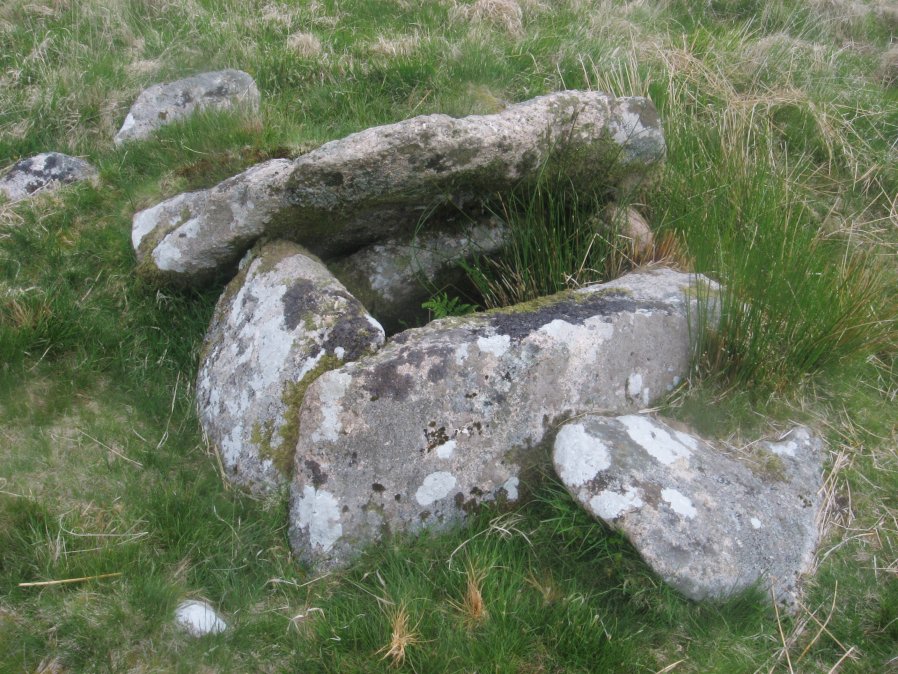 Plym Steps Ring Setting Cairn and Cist