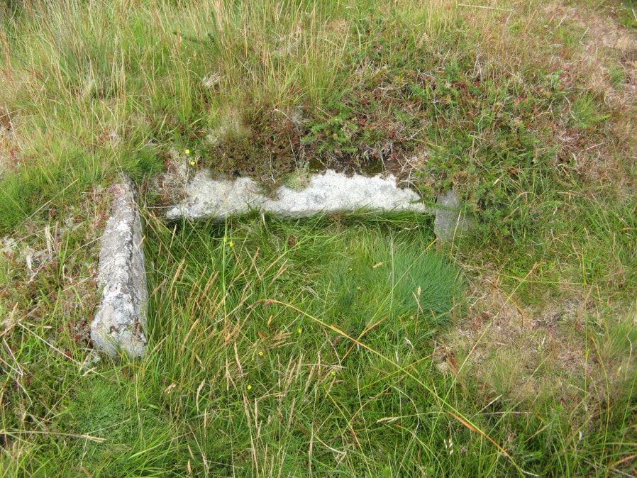 Raddick Hill SE pound Cist