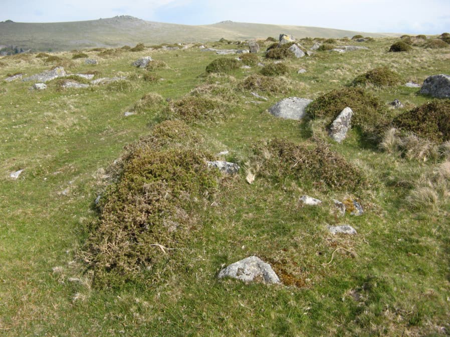 Merrivale reave 15 Reported Cairn