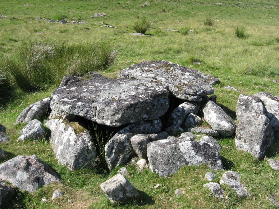 Roundy Park, Postbridge Cist