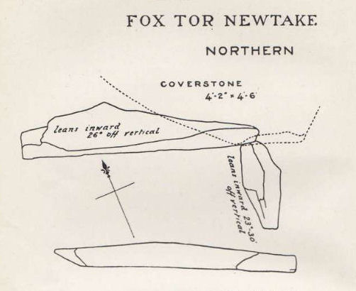 Fox Tor Newtake, North Cist