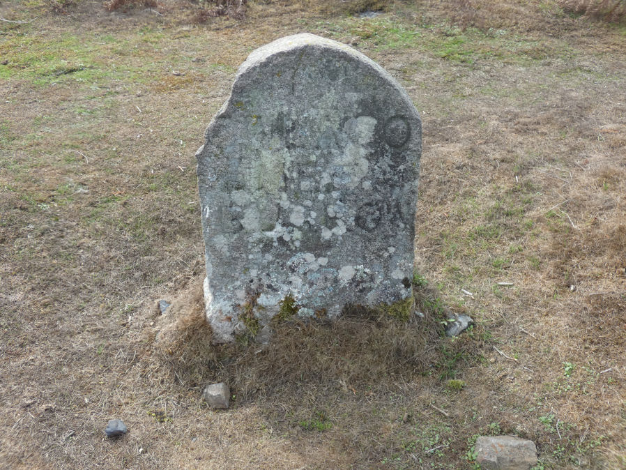 Owlacombe Burrow Reported Cairn