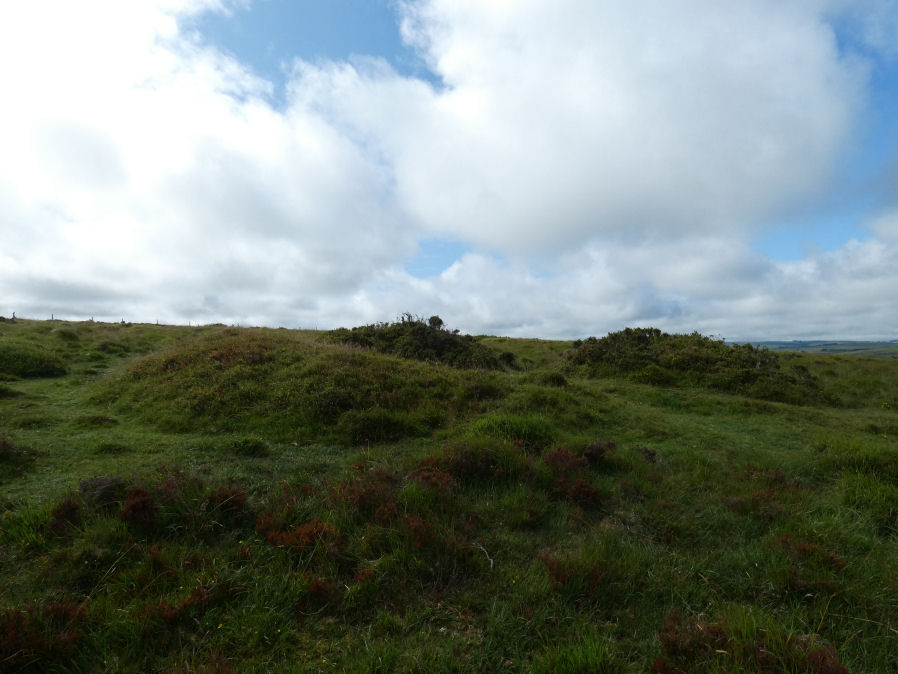 Merripit Hill 2 Clearance Cairn