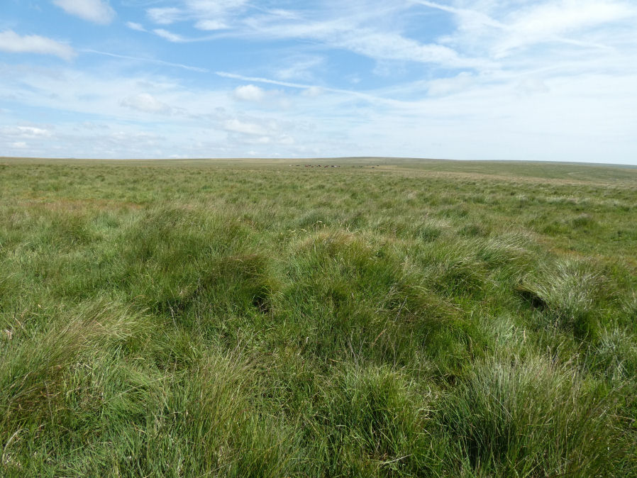 Langstone Moor (PET 40d) Clearance Cairn