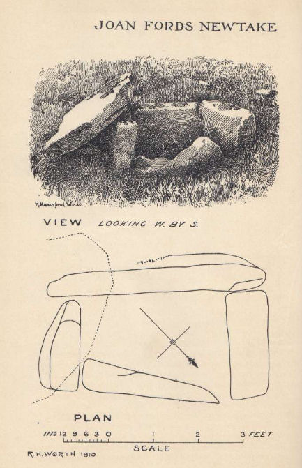 Joan Ford's Newtake Embanked Cairn Circle and Cist