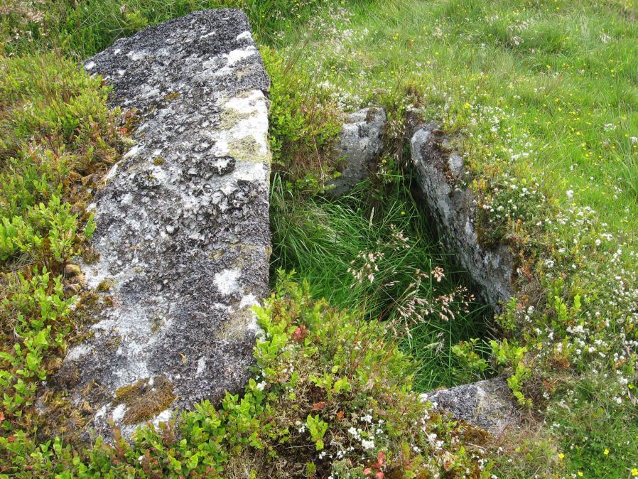 White Moor (Little Hound Tor) Stone Circle