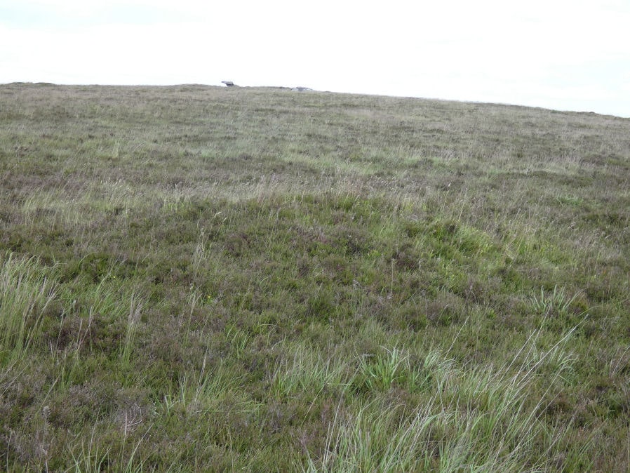 Shapley Common 3 Cairn