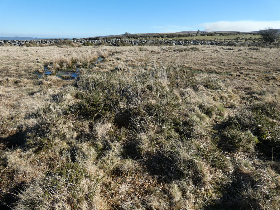 Yardworthy stone row Cairn