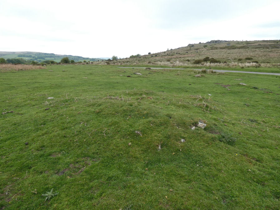 Cripdon Down Reported Cairn
