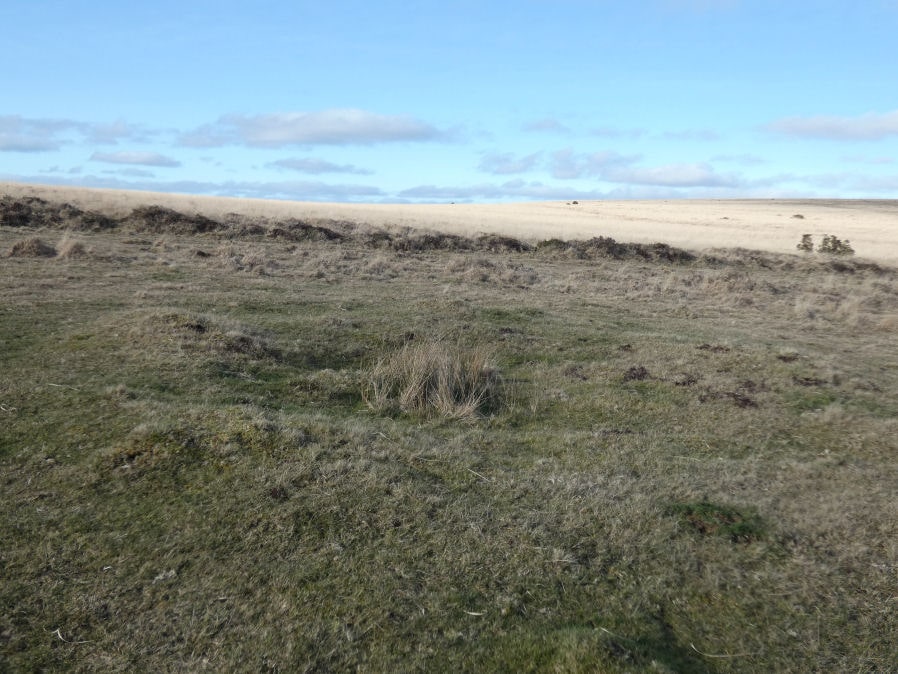 Ringmoor Down N.1 Reported Cairn