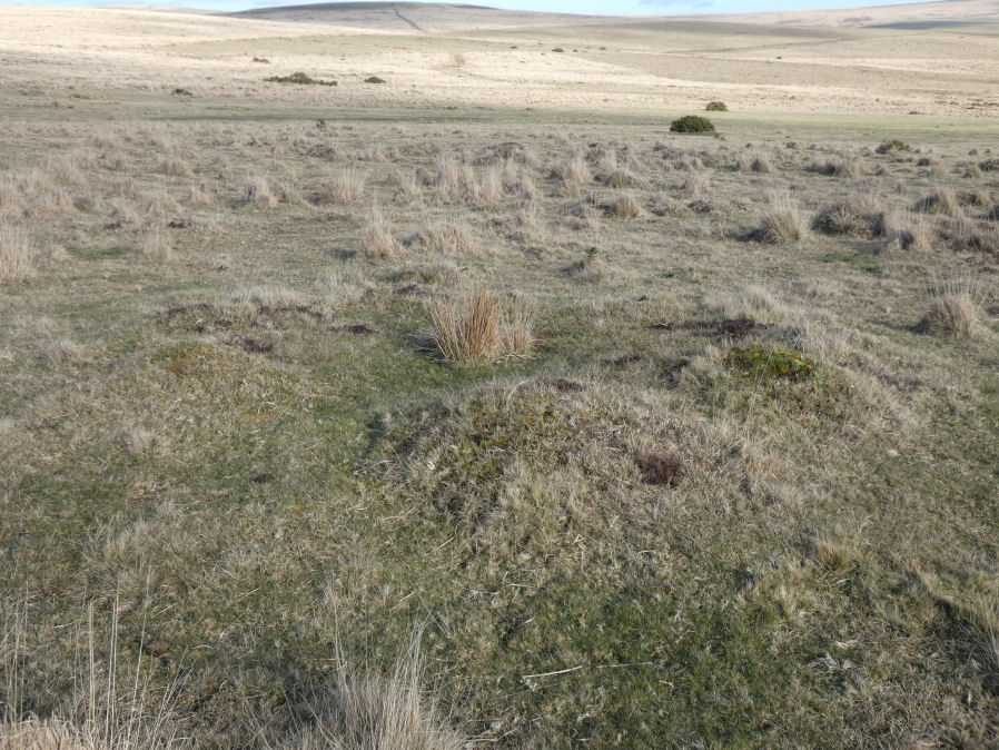 Ringmoor Down N.2 Reported Cairn