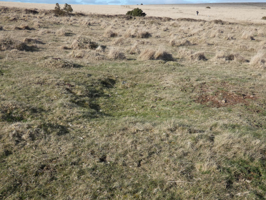 Ringmoor Down N.3 Reported Cairn