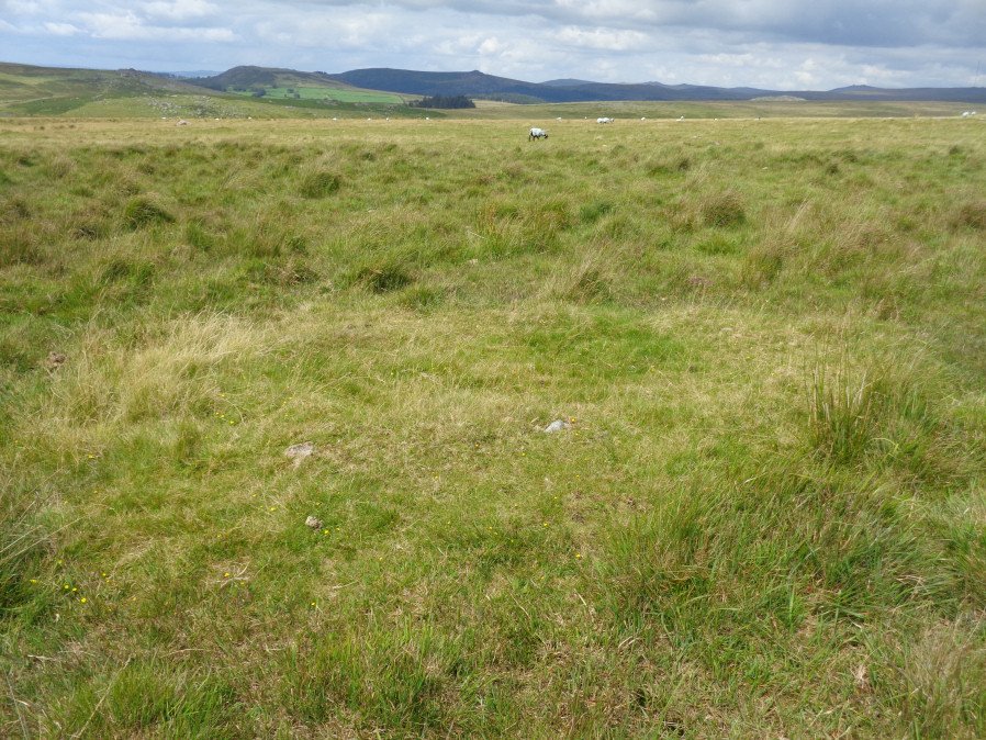 Hen Tor N.9 Cairn