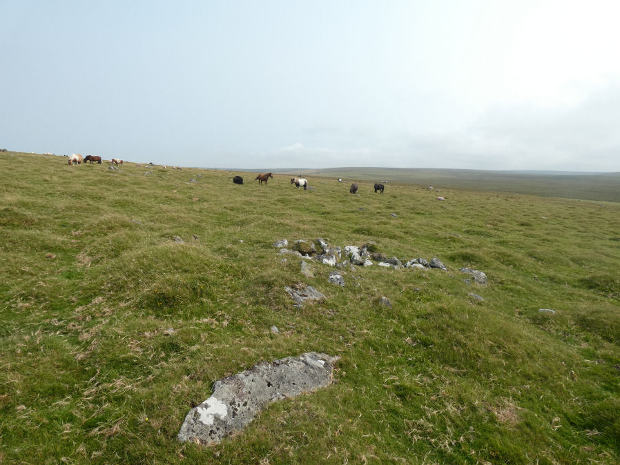 White Tor S.S.E.9 Cairn