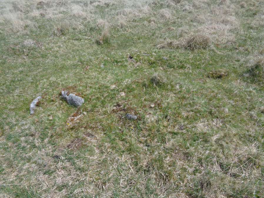 Yellowmead Down 4 Cairn Circle