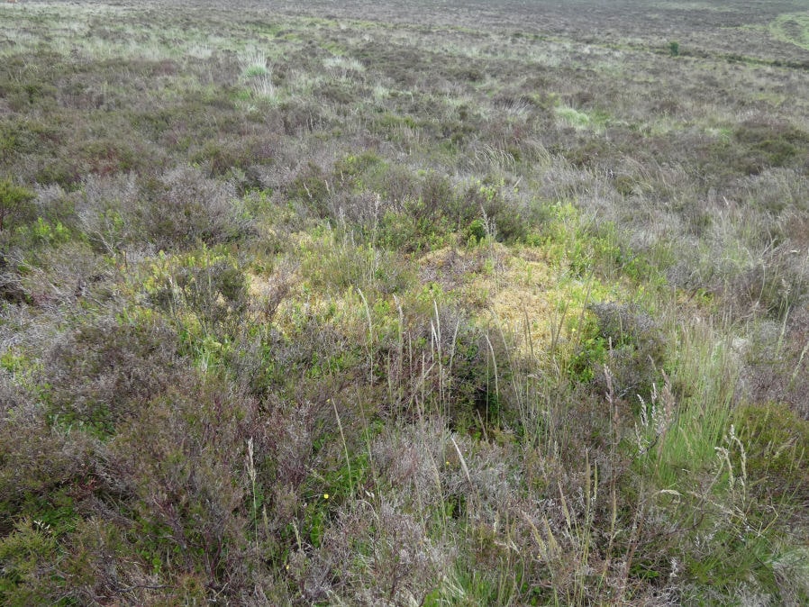 Headland Warren 1 Cairn