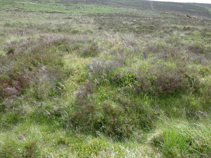 Headland Warren 2 Cairn