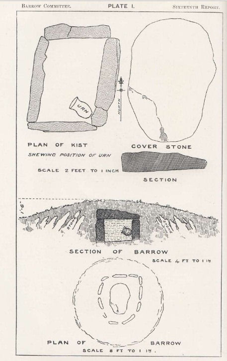 West Vitifer Cist