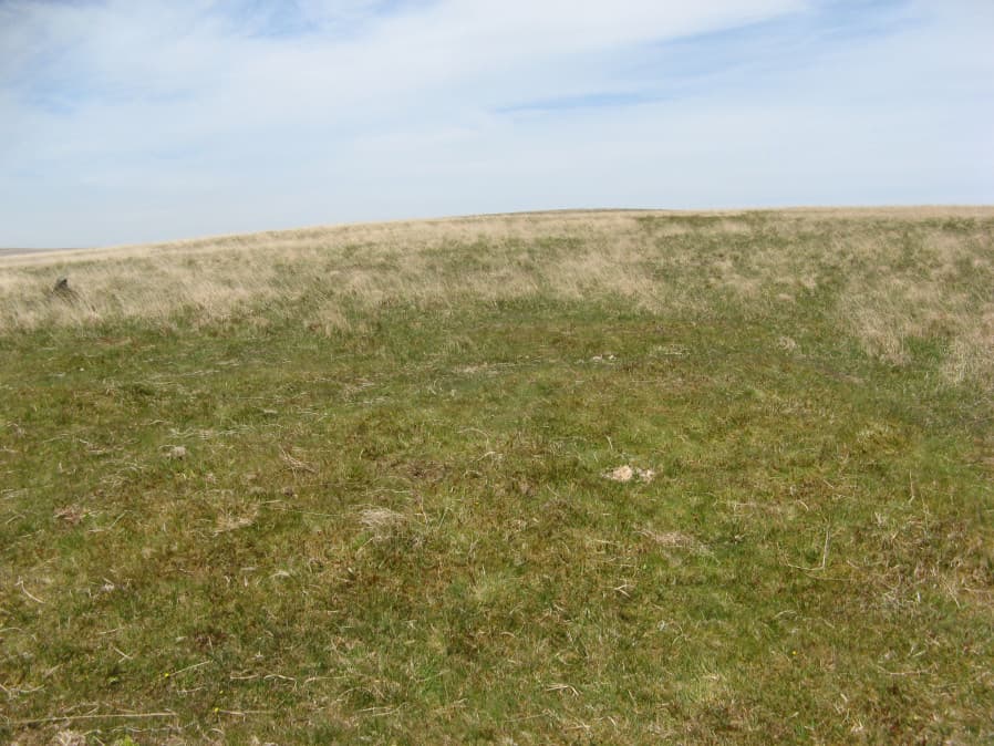 Drizzlecombe 24 Reported Cairn