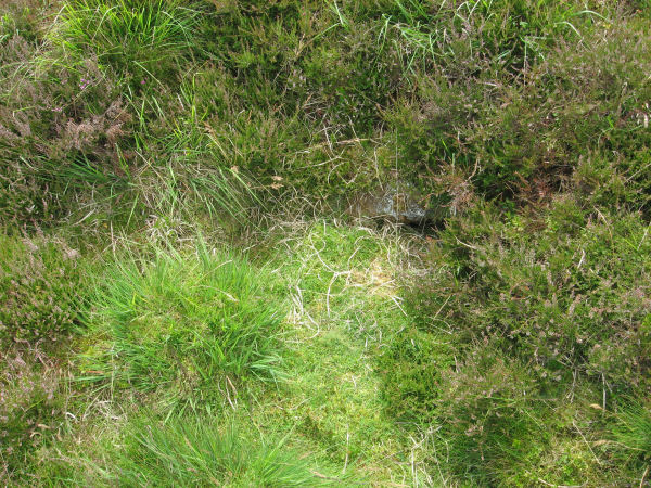 White Hill Cist