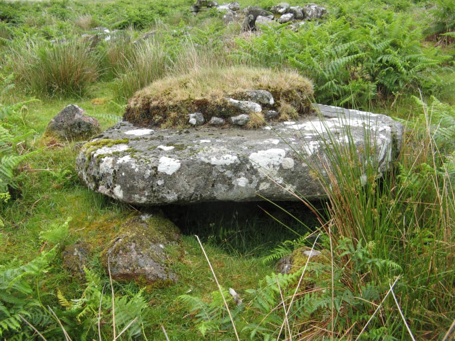 Hentor Warren Reported Cist