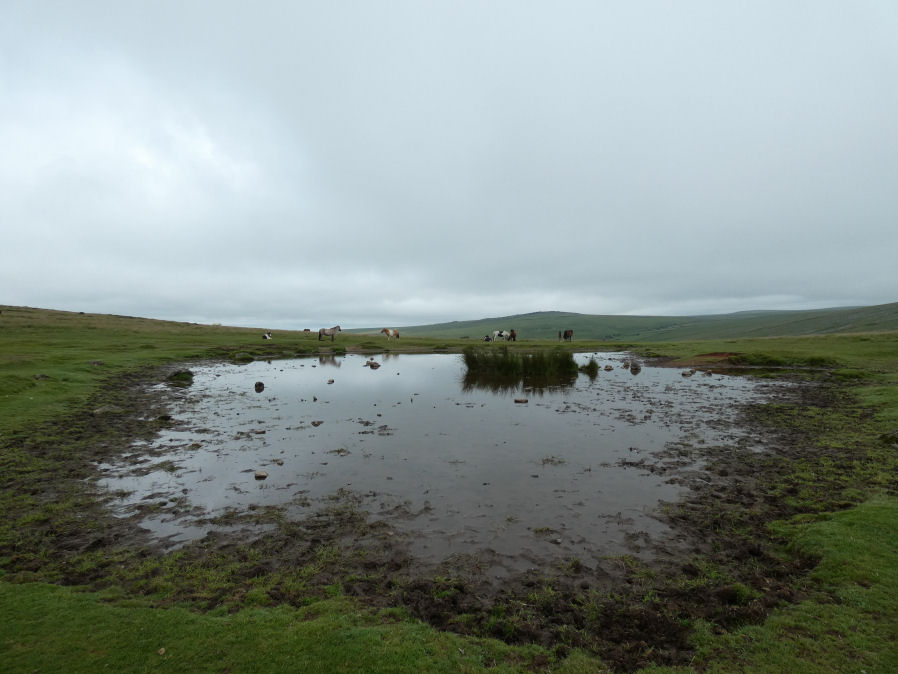 Cox Tor Ancient Pool
