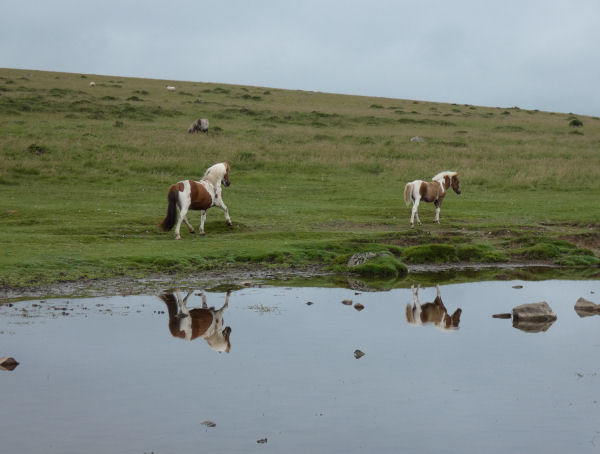 Cox Tor Ancient Pool