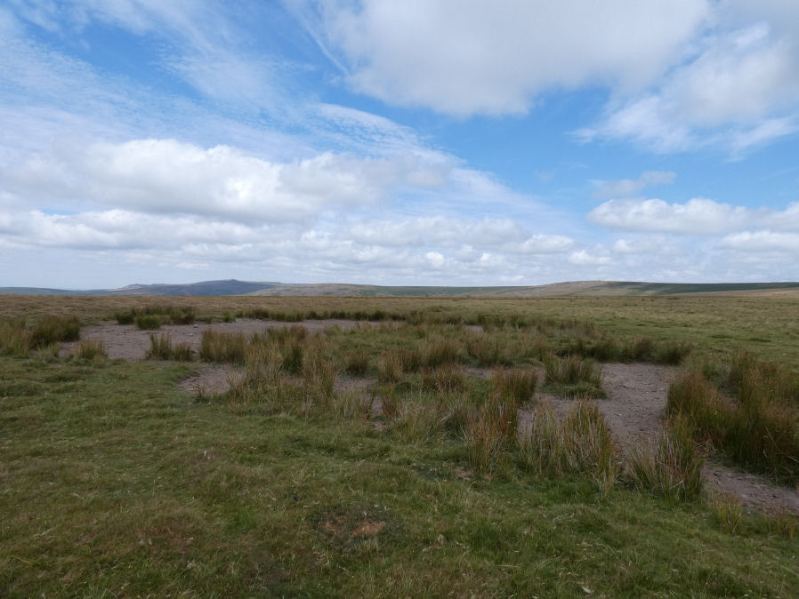 Langstone Moor Ancient Pool