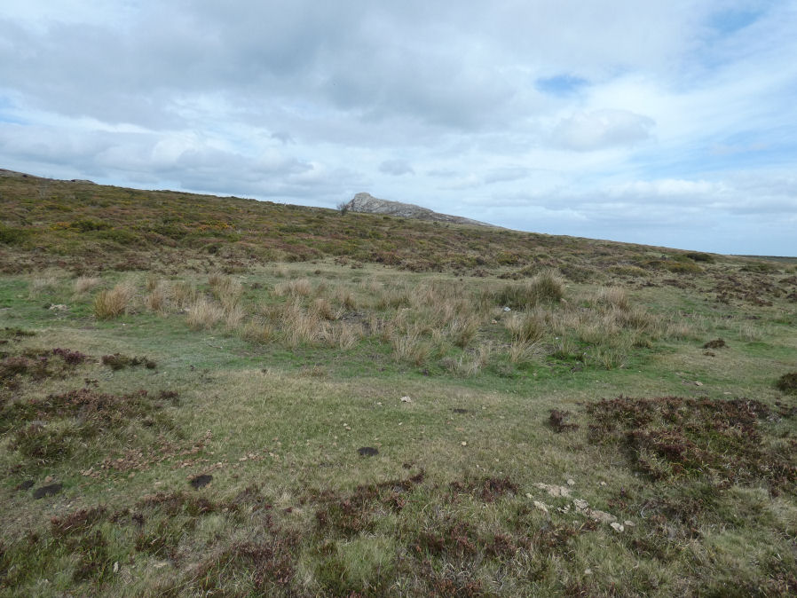 Saddle Tor C Ancient Pool