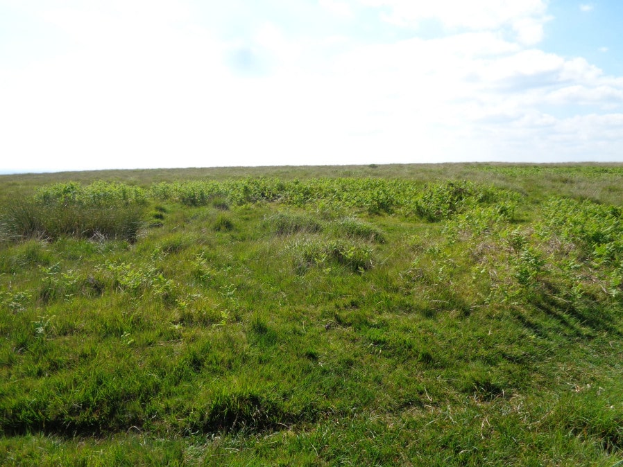 Wigford Down B Ancient Pool