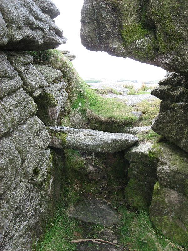 Bellever Rock Shelter