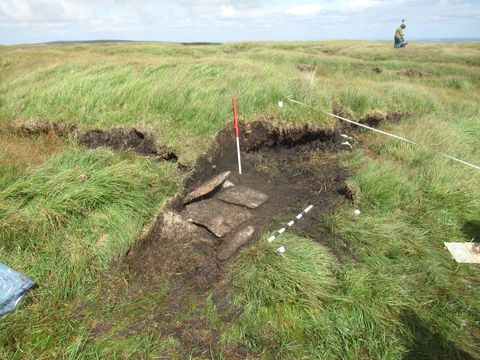 Cut Hill Cist