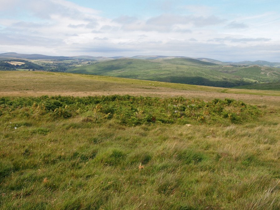 Holne Moor Stone Ring Cairn Circle 