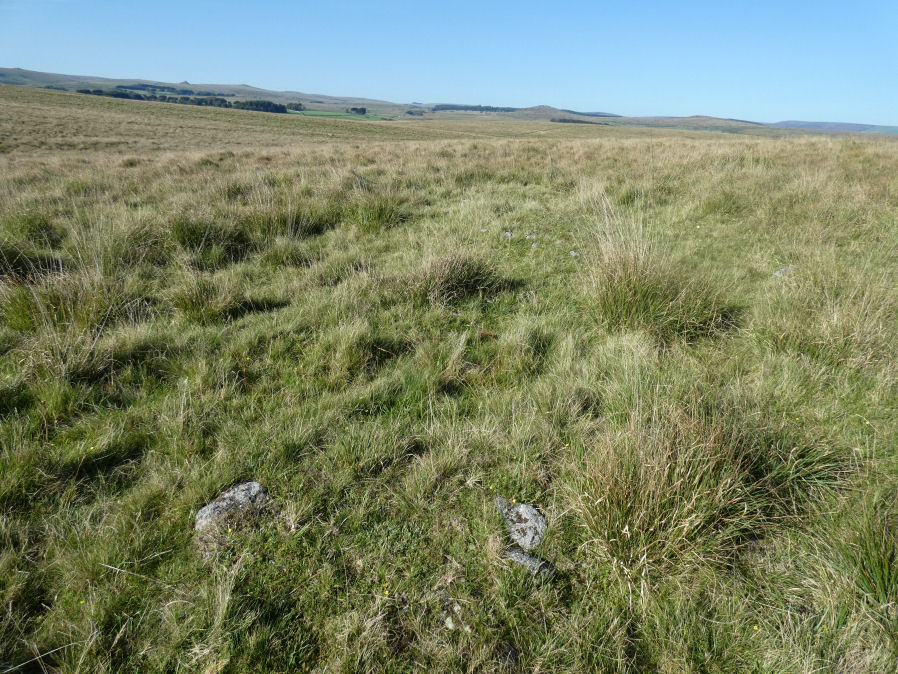 Tor Royal (newtake) Stone Ring Cairn Circle