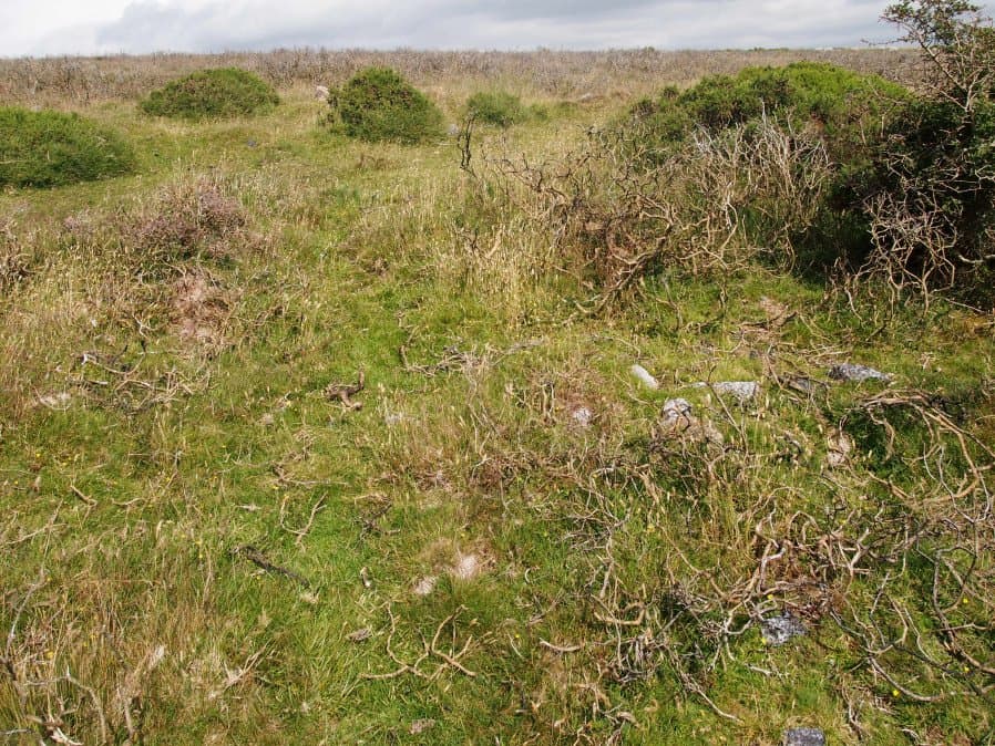 Holne Lee Stone Ring Cairn Circle 